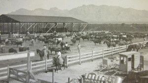 Early Tucson Photograph with the Santa Catalina Mountains in the background