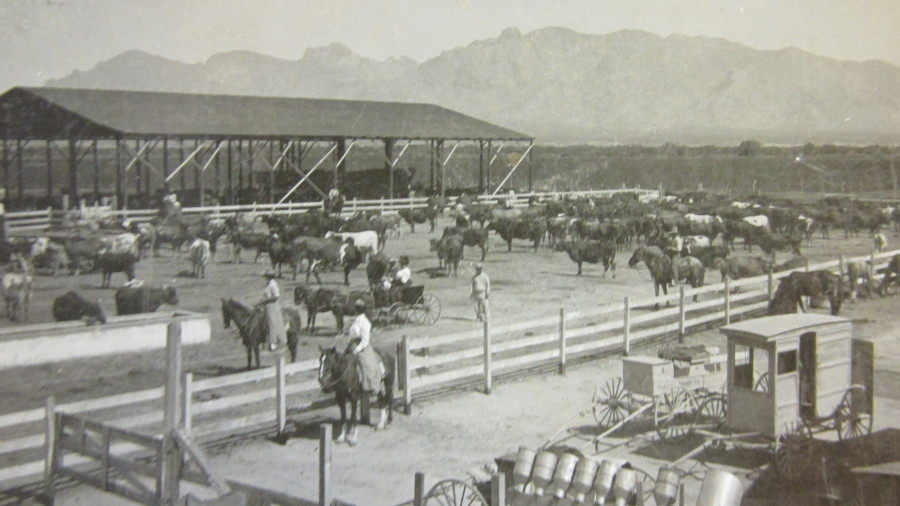 Early Tucson Photograph Vintage Tucson