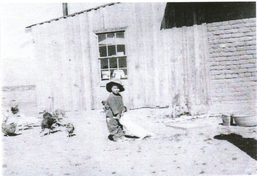 My grandmother's younger brother, Bill (Born in 1910 in Morenci, Arizona Territory) tending the family chickens, Apache, Arizona Territory.