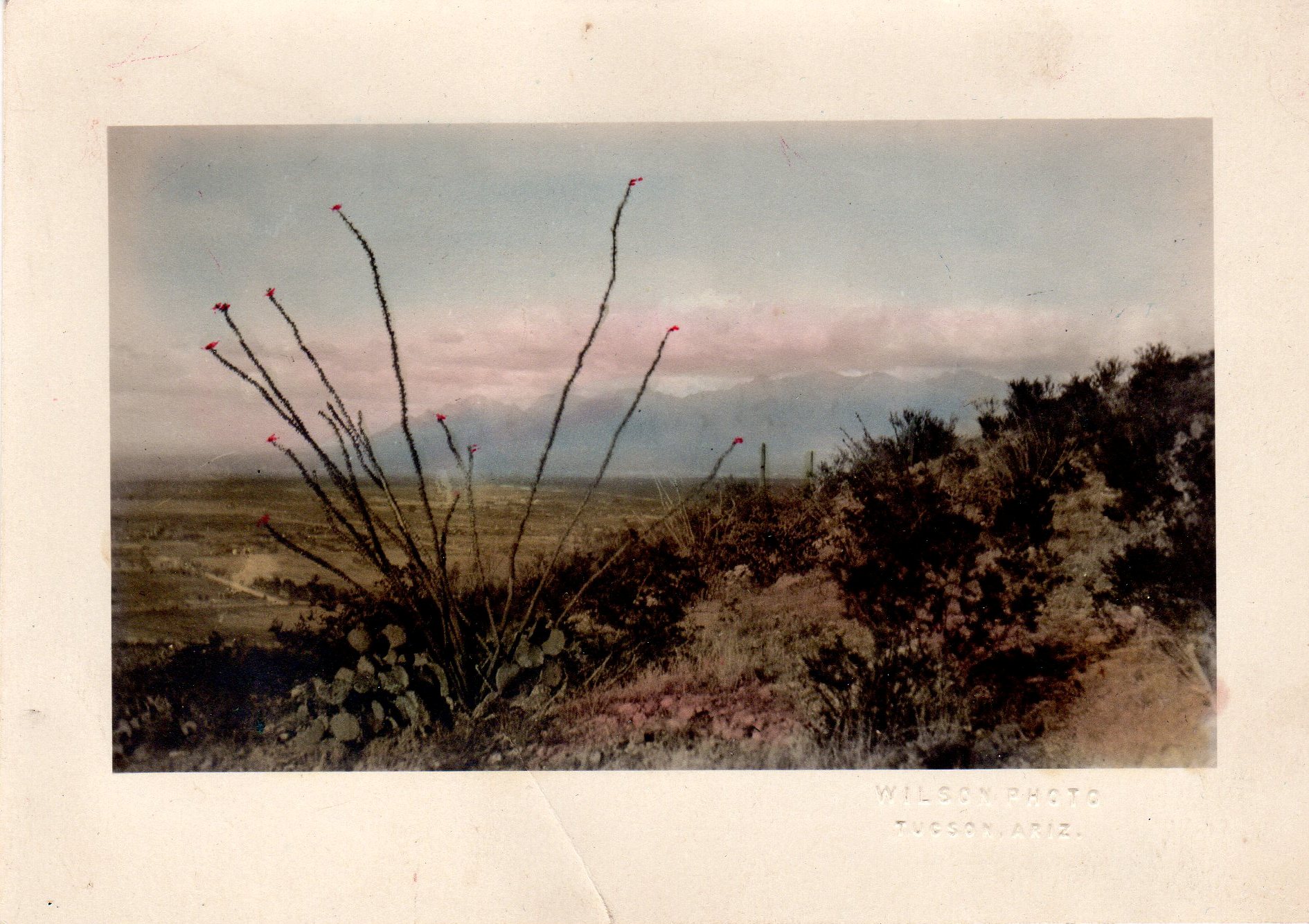 Hand tinted photo of vintage Tucson with Catalina Mountains in the background