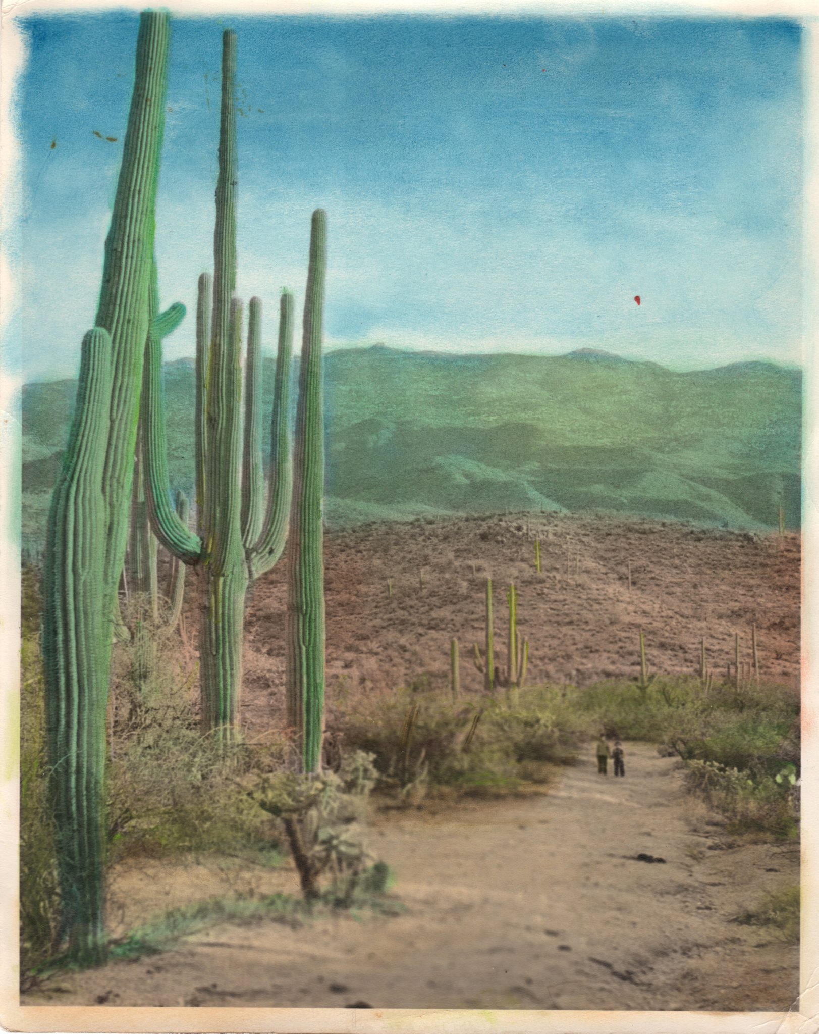 Tucson Rincon Mountains Hand Colored