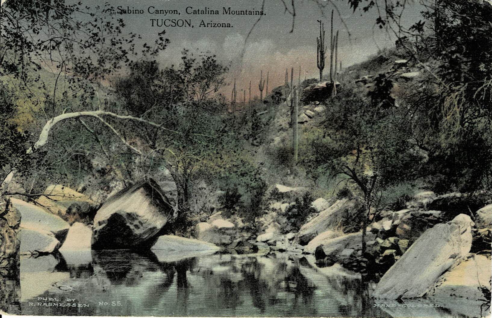 Rasmessen Sabino Canyon Postcard No. 55
