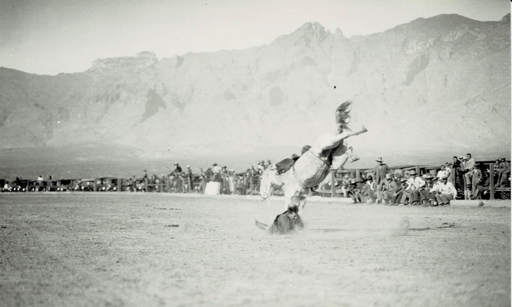 Tucson Rodeo Postcard